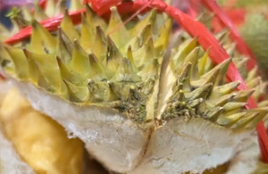 你买过开口榴莲吗？