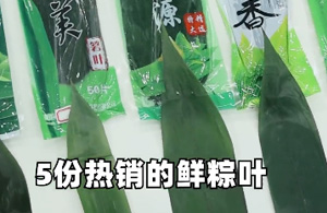 小心！这样的粽叶千万别买！