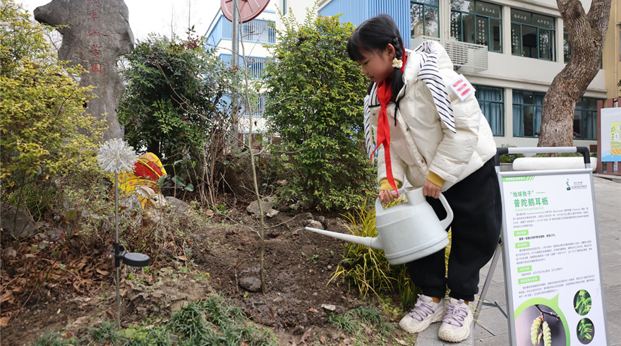 与珍稀植物零距离，守护世界生物多样性