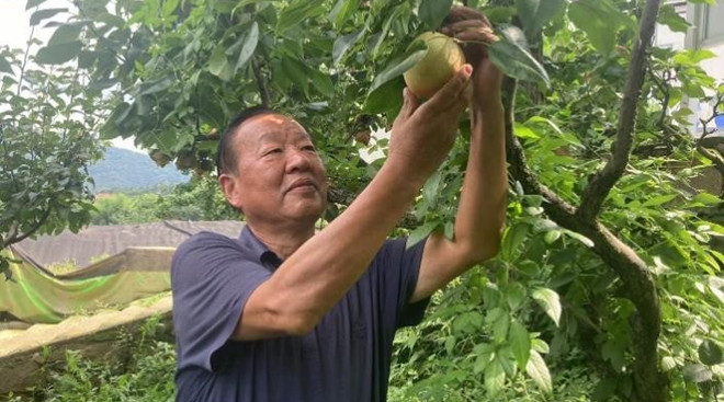 科技小院：让“希望田野”遍地开花，杭州科技小院如何激活乡村振兴“一池春水”？